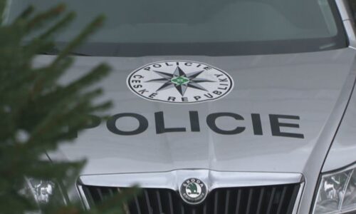 Batole spolklo sklo, cestu za lékaři do Brna znemožnily nehody. Pomohl pohotový zásah policie