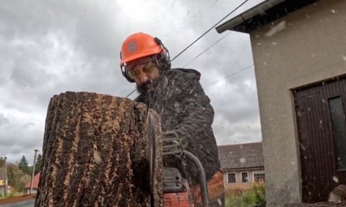 Od květináče až k reklamnímu medvědovi. Řezbář z Klatovska sbírá uznání po světě