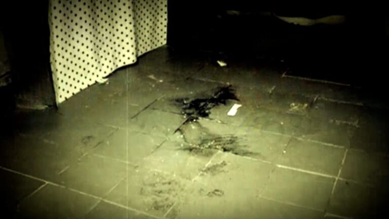 Vražda seniorky na kroměřížsku: pachatelem má být syn. co je za svět, nechápou místní