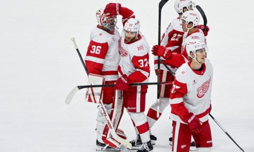 Trpká výhra Detroitu. Opora z brány v Nashville nedochytala