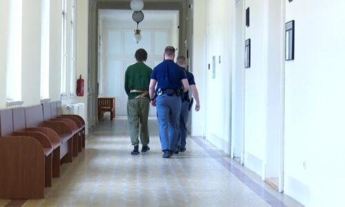 Seniorce nosil nákupy, pak ji ubodal. Motiv muže je záhadou, u soudu neukázal žádné emoce