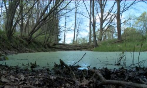 Vraždy, které nedají jihočeské kriminálce spát: Zabiják na dně přehrady i dítě v kontejneru
