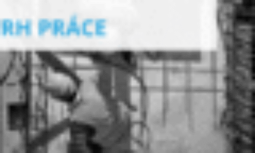 Mzdy držia tempo, kúpna sila sa stabilizovala (flash)