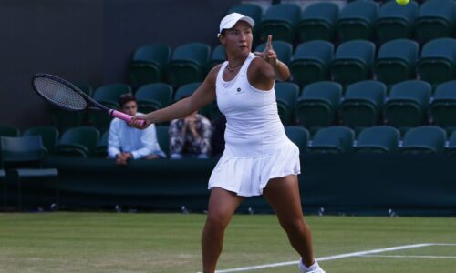 Suspendovaná tenistka zažalovala wta. žiada 20-miliónové odškodné