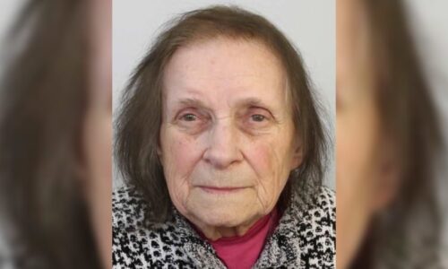 Seniorka odjela autobusem směrem na Pelhřimov a zmizela. Policie prosí o pomoc s pátráním