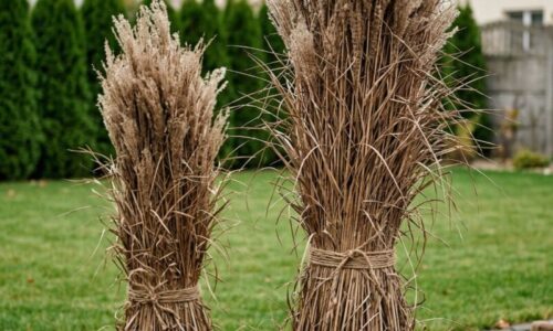 Ako premeniť uschnuté steblá na pýchu ulice: Kompletný manuál, ktorý vám ušetrí hodiny práce a ochráni vaše milované rastliny.