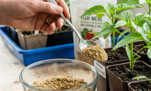 Tajná ingrediencia starých materí sa vracia na scénu. pozrite sa, ako vyrobiť najsilnejšie sadenice sezóny pomocou dvoch lyžíc prášku.