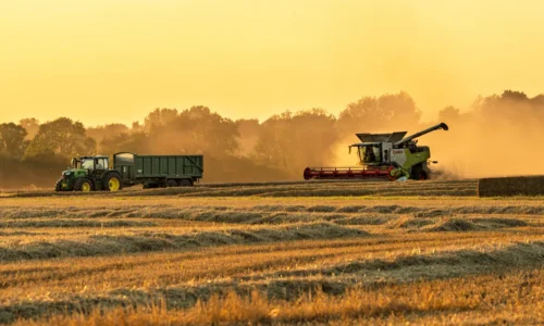 The Guardian: Potravinová bezpečnosť Británie je ohrozená