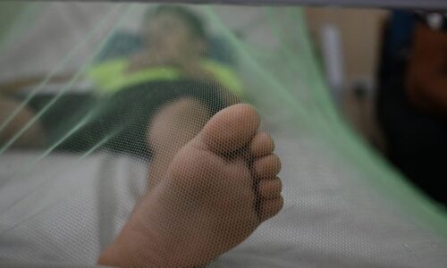 Češi si z exotiky vozí zákeřnou horečku: Může být smrtelná. Kde dát pozor a jak se chránit?