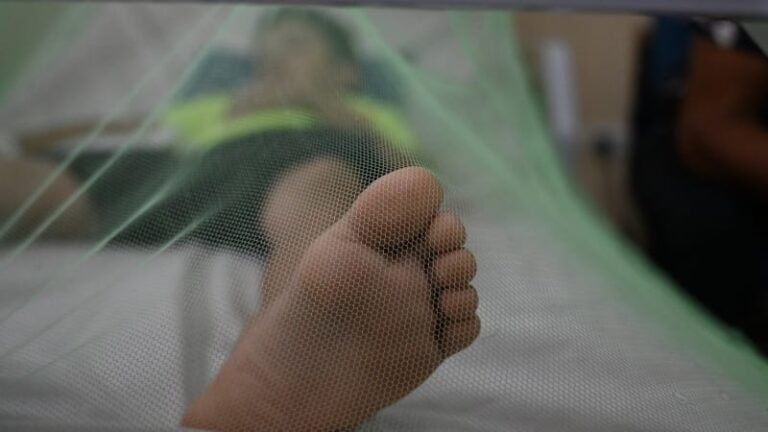 Češi si z exotiky vozí zákeřnou horečku: může být smrtelná. kde dát pozor a jak se chránit?