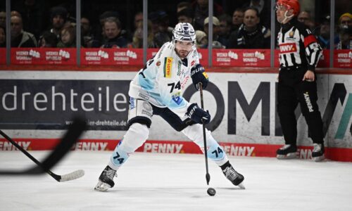 Skúsený Sýkora si pripísal asistenciu, prehre Drážďan so Straubingom však nezabránil