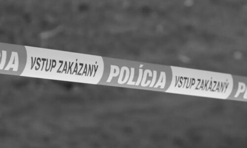Brutálna vražda v okrese Galanta. Žena zomrela po útoku ostrým predmetom, polícia už zadržala podozrivého – FOTO