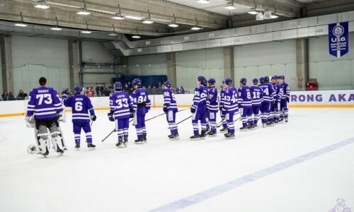 Tragédia u susedov. Pri havárii na diaľnici zahynul len 20-ročný hokejista