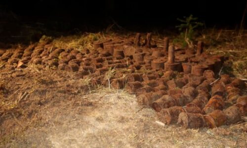 Pes v lese u Albrechtic vyhrabal granát. Pod zemí jich byly stovky, zasahovali pyrotechnici