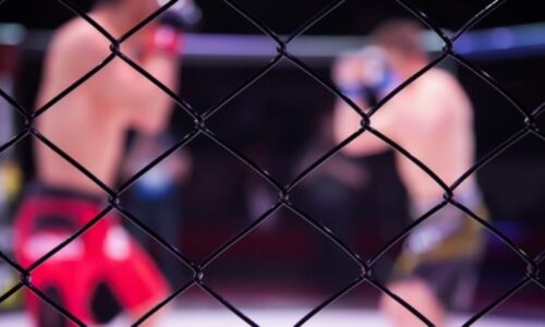 Tragická nehoda bijce z Oktagonu. Cholovi bylo jen 28 let, zůstala po něm dcera a těhotná žena