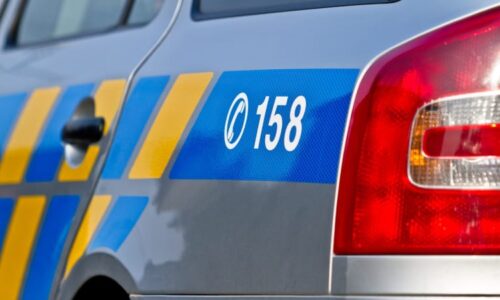 Dýkou a sekerou zaútočil na policisty opilec ze Šumperska. Rozzuřila ho příbuzná