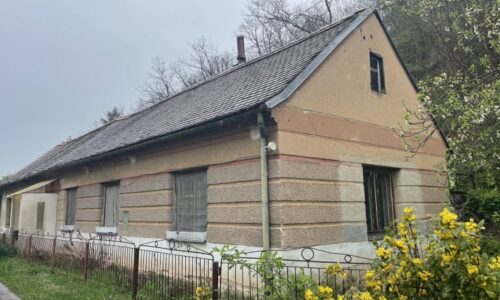 Otřesné metody tyrana ze Siřemi: Ženu měl znásilňovat na řetězu a vyhrožovat jí rozčtvrcením