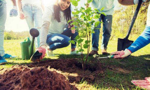 Ako poukázať až tri percentá z dane? Potrebné je, aby ste splnili túto podmienku
