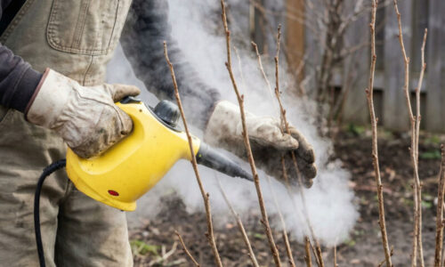 Zabudnite na drahé pesticídy, táto zabudnutá metóda využíva silu tepla na totálnu dezinfekciu vašej záhrady za pár drobných.