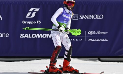 Slovensku sa rysuje nový supertalent. Od rekordného počtu medailí má však naša výprava ďaleko