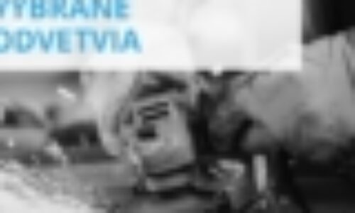 Pozitívny začiatok roka pre trh práce (flash)