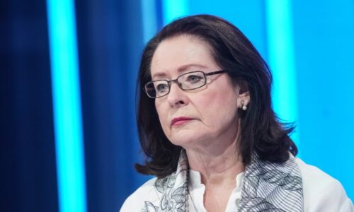 Vyloučení Babiše z kauzy Čapí hnízdo? Bezcharakterní zbabělec a sketa, vzkázala Němcová