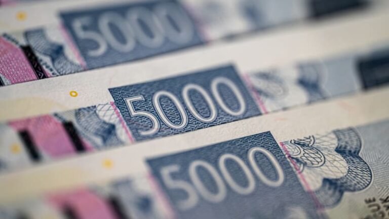 Češi podceňují budoucnost. každý druhý by měl při výpadku příjmů problémy do měsíce