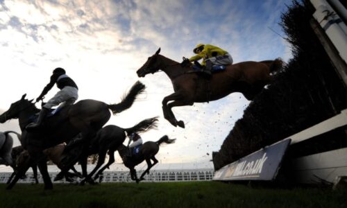 Dostihový kůň vydělal statisíce, skončil v turecké restauraci. Host našel na talíři jeho čip