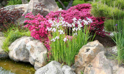 Slovenskem otřásla tragédie: Roční Alžbětka se utopila v zahradním jezírku při návštěvě babičky