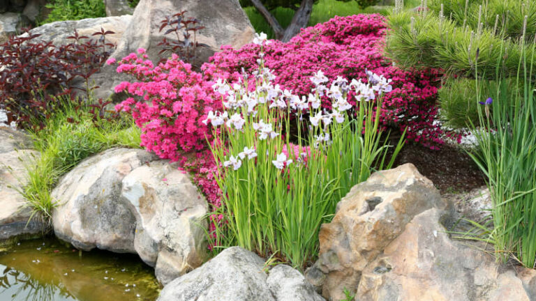 Slovenskem otřásla tragédie: roční alžbětka se utopila v zahradním jezírku při návštěvě babičky