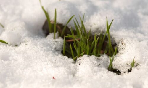 Zlom v počasí: Do částí Česka se vrátí sníh. MAPA ukazuje, kam vyrazit za teplem