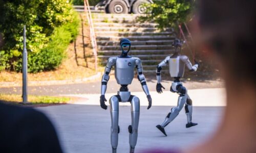 Robot obtěžoval ženu na ulici, zpacifikovala ho až čínská policie. Majitel stroj hájil