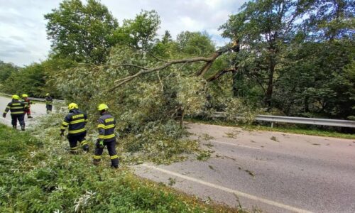 Silný vítr už řádí v Česku: Lámal stromy a rozfoukal požár. Hasiči evidují desítky výjezdů