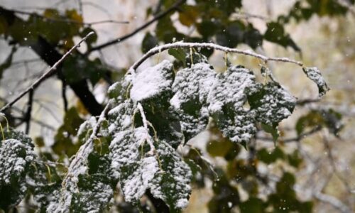 Česko čeká extrémní proměna počasí: Teploty spadnou z 18 °C pod bod mrazu, vrátí se i sněžení