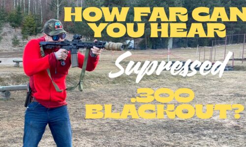 Video: Počuješ to? .300 Blackout Subsonic vs. Realita
