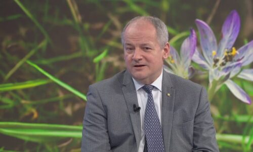 Klíšťata opět útočí: Očkujte se, doporučuje Prymula. Jak parazita bezpečně vytáhnout?