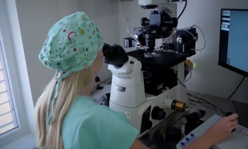 Česko jako centrum oplodnění? Důvodů je víc. Může za tím stát i atraktivita žen