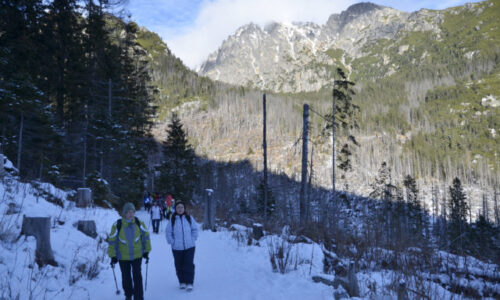 Počet ubytovaných hostí na Slovensku v januári lámal rekordy, výrazne pomohol aj záujem cudzincov