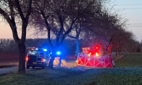 Hrůzná nehoda u Prahy: Řidič nepřežil náraz do stromu. Kolem příčiny úmrtí jsou nejasnosti