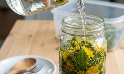 Zázrak z lúky, ktorý lekárnici neradi vidia: Tri hrste žltých kvetov a trocha trpezlivosti vám ušetria desiatky eur za drahú kozmetiku a čističe.