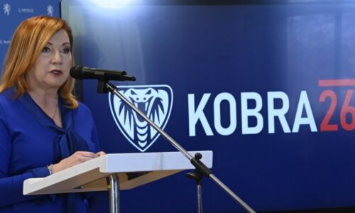 Vláda zřídí „Kobru 26“ proti zaměstnávání načerno. Schillerová čeká výnos desítek miliard