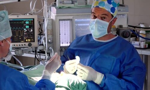 Do plastiky prsou a rtů fušují v Česku i nehtová studia. Hrozí infekce i úmrtí, varují lékaři