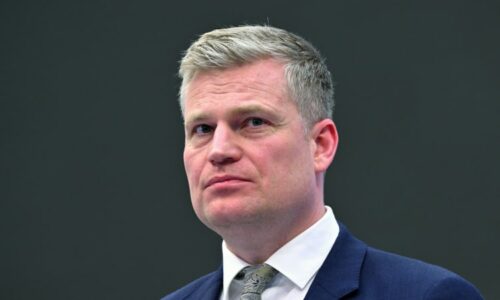 „Co to meleš?“ Satirici si dělají legraci z Turkovy angličtiny. Zklamaná je i sova z Duolinga