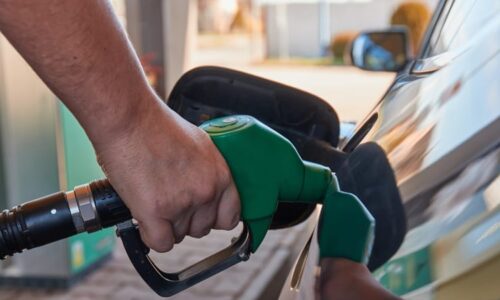 Češi na Slovensku budou tankovat za vyšší cenu. Nařízení se týká nafty, nesmí se ani vyvážet