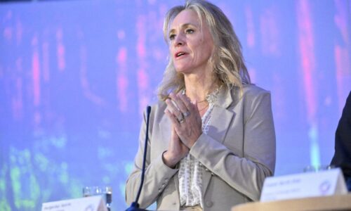 Island by sa mohol stať členom EÚ v roku 2028, povedala ministerka zahraničia