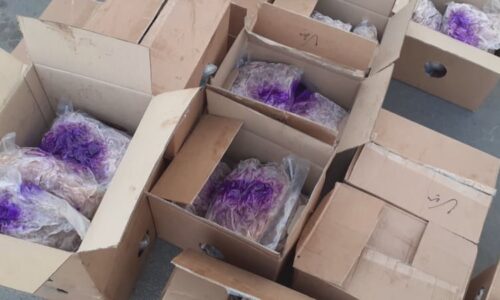 Tuna zkaženého masa na D1: Cizinci vezli kachny bez chlazení, hrozí jim pokuta 50 milionů