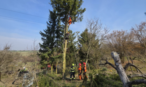 Neobvyklá záchrana: V šesti metrech zasáhla člověka na stromě elektřina, museli pro něj lezci