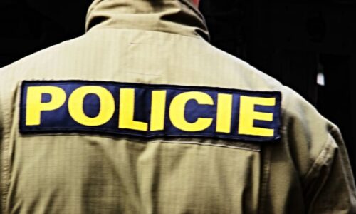 Policie rozbila rozsáhlou síť okrádající pedofily. Dětské porno jen maskovalo skutečný účel