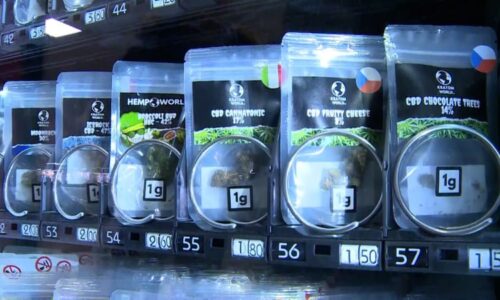 Zabiják Kratom: Po užití legální drogy loni v Česku zemřelo 17 lidí