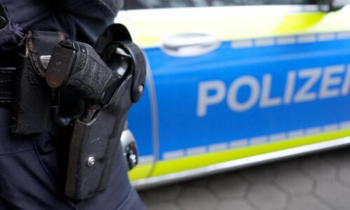 Nemecko hlási rozbitie podvodnej siete webov zameraných na detskú pornografiu a okrádanie